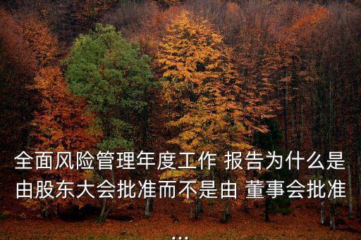全面風(fēng)險(xiǎn)管理年度工作 報(bào)告為什么是由股東大會批準(zhǔn)而不是由 董事會批準(zhǔn)...