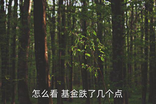 怎么看 基金跌了幾個點(diǎn)