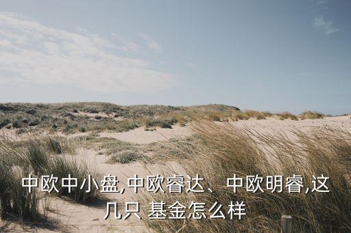 中歐中小盤(pán),中歐睿達(dá)、中歐明睿,這幾只 基金怎么樣