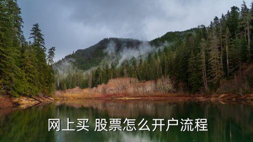  網(wǎng)上買 股票怎么開(kāi)戶流程