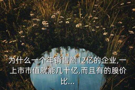為什么一個年銷售額12億的企業(yè),一 上市市值就能幾十億,而且有的股價(jià)比...