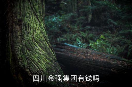 四川金強集團(tuán)有錢嗎