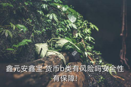 鑫元安鑫寶 貨幣b類有風險嗎安全性有保障!