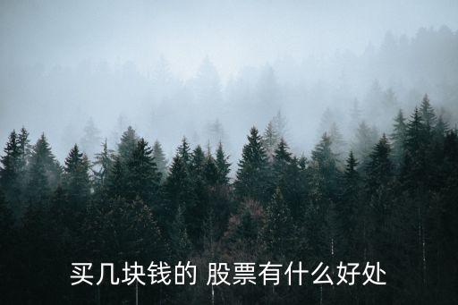 買(mǎi)幾塊錢(qián)的 股票有什么好處