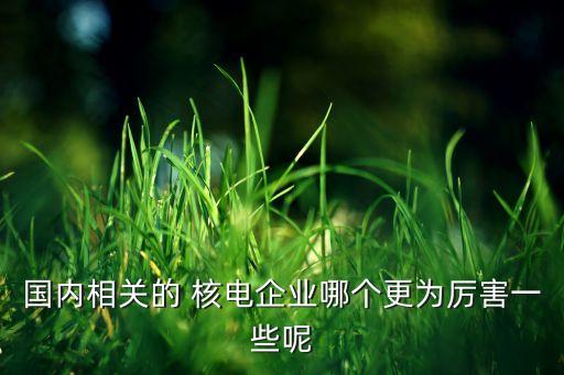 國內(nèi)相關的 核電企業(yè)哪個更為厲害一些呢