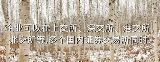 企業(yè)可以在上交所、深交所、港交所、北交所等,多個國內(nèi)證券交易所同時...