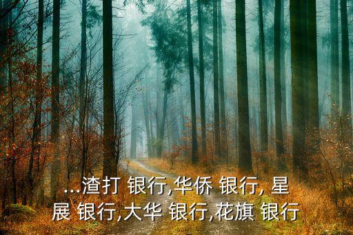 星展銀行私人銀行門(mén)檻,2022各大銀行私人銀行門(mén)檻