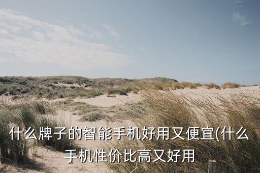 什么牌子的智能手機(jī)好用又便宜(什么手機(jī)性?xún)r(jià)比高又好用