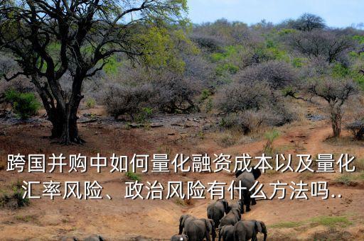 跨國并購中如何量化融資成本以及量化匯率風(fēng)險、政治風(fēng)險有什么方法嗎...
