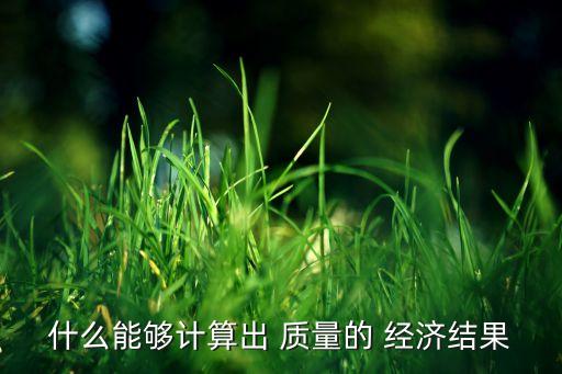 什么能夠計算出 質量的 經濟結果