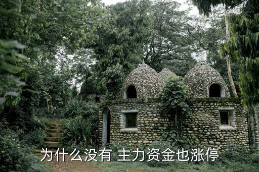 股票沒主力機構,股票里面主力、機構分別是什么意思
