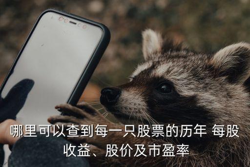 哪里可以查到每一只股票的歷年 每股 收益、股價及市盈率