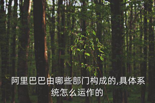  阿里巴巴由哪些部門構成的,具體系統(tǒng)怎么運作的