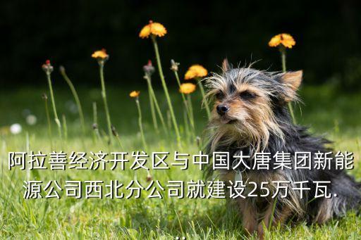 中國(guó)光彩事業(yè)贛州行招商項(xiàng)目庫