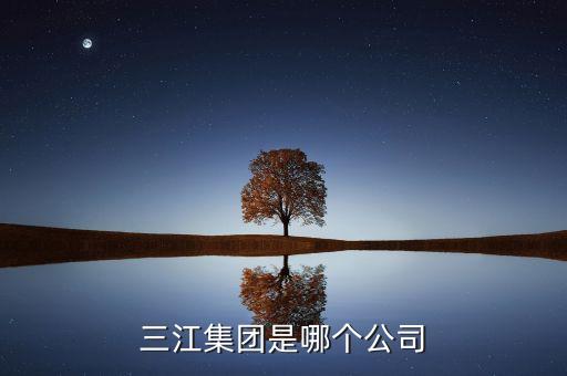 三江集團(tuán)是哪個公司