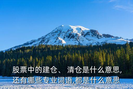  股票中的建倉、 清倉是什么意思,還有哪些專業(yè)詞語,都是什么意思
