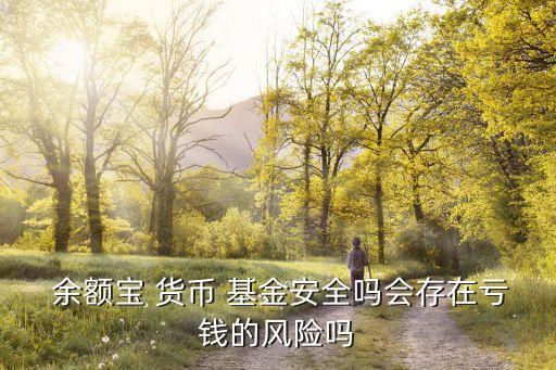  余額寶 貨幣 基金安全嗎會(huì)存在虧錢(qián)的風(fēng)險(xiǎn)嗎
