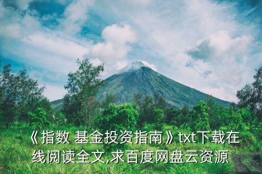 《指數(shù) 基金投資指南》txt下載在線閱讀全文,求百度網(wǎng)盤(pán)云資源