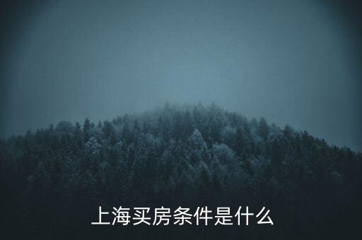 上海買(mǎi)房條件是什么