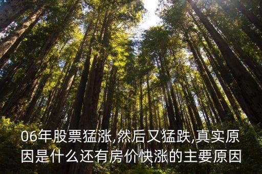 中國股市06年漲的最好的