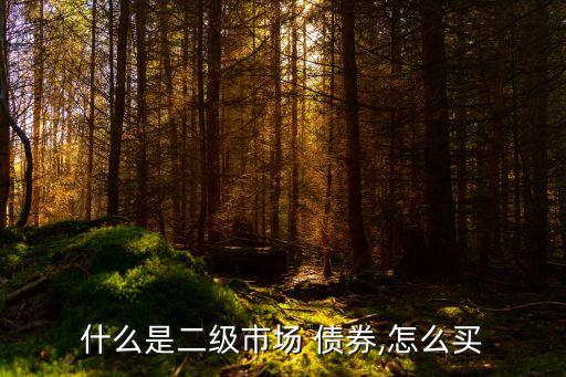 什么是二級(jí)市場 債券,怎么買
