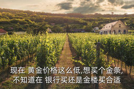現(xiàn)在 黃金價(jià)格這么低,想買個(gè)金條,不知道在 銀行買還是金樓買合適
