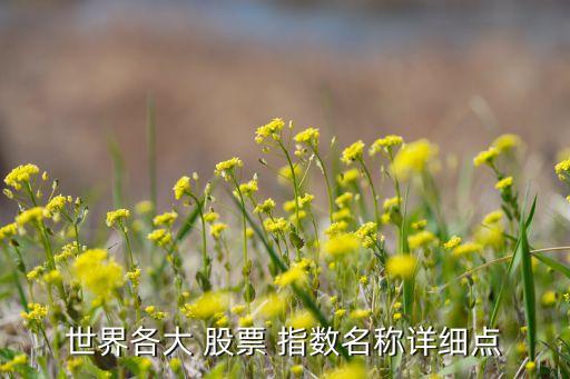 世界各大 股票 指數(shù)名稱詳細點