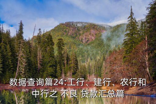 數(shù)據查詢篇24:工行、建行、農行和中行之 不良 貸款匯總篇