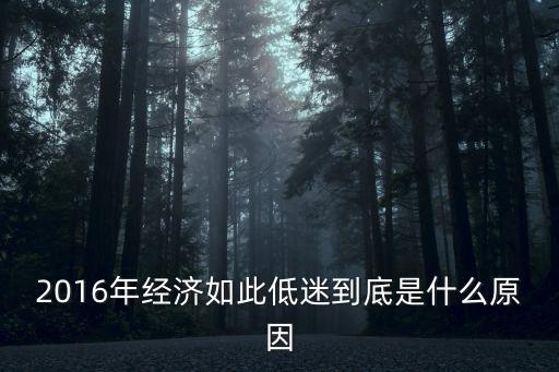 2016年經(jīng)濟如此低迷到底是什么原因