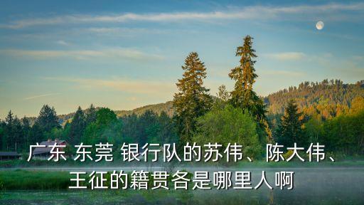 廣東 東莞 銀行隊的蘇偉、陳大偉、王征的籍貫各是哪里人啊