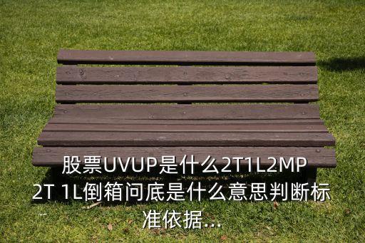  股票UVUP是什么2T1L2MP2T 1L倒箱問底是什么意思判斷標準依據...