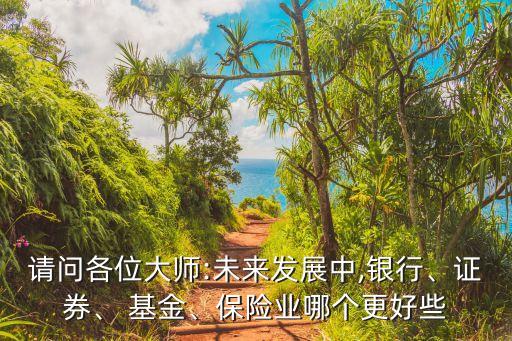 請問各位大師:未來發(fā)展中,銀行、證券、 基金、保險(xiǎn)業(yè)哪個(gè)更好些
