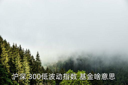 滬深 300低波動指數 基金啥意思