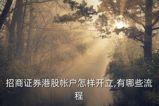 招商證券港股帳戶(hù)怎樣開(kāi)立,有哪些流程