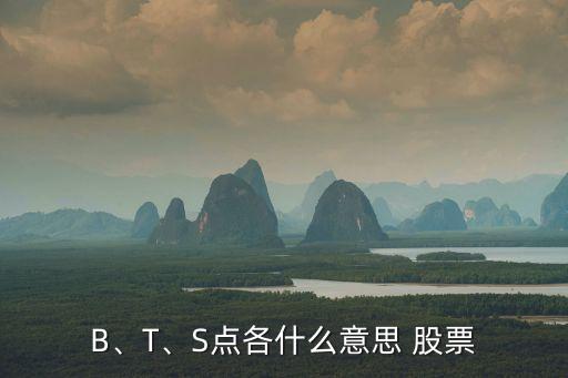 B、T、S點各什么意思 股票