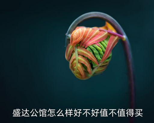  盛達(dá)公館怎么樣好不好值不值得買(mǎi)