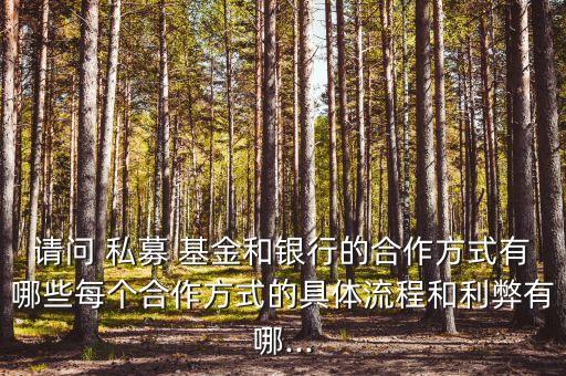 請問 私募 基金和銀行的合作方式有哪些每個(gè)合作方式的具體流程和利弊有哪...