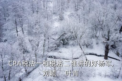 CPA稅法一和稅法二誰(shuí)講的好楊軍,劉穎、 葉青
