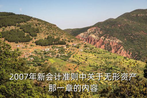 2007年新會計準則中關(guān)于無形資產(chǎn)那一章的內(nèi)容