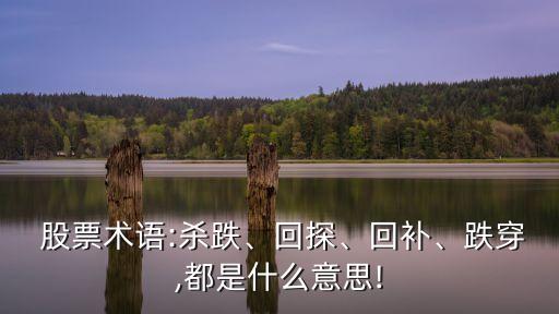  股票術語:殺跌、回探、回補、跌穿,都是什么意思!