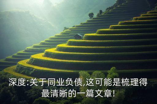深度:關于同業(yè)負債,這可能是梳理得最清晰的一篇文章!