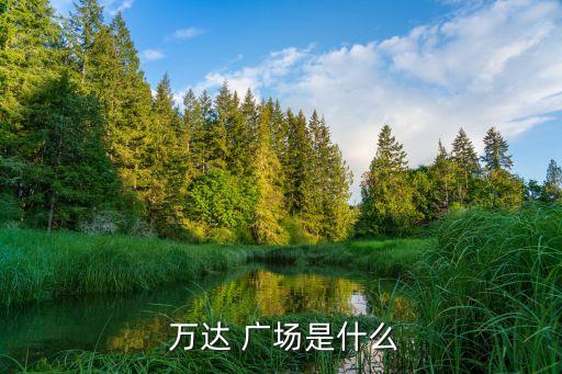  萬(wàn)達(dá) 廣場(chǎng)是什么