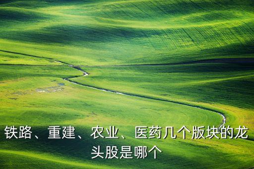 鐵路、重建、農(nóng)業(yè)、醫(yī)藥幾個(gè)版塊的龍頭股是哪個(gè)