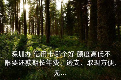  深圳辦 信用卡哪個(gè)好 額度高低不限要還款期長(zhǎng)年費(fèi)、透支、取現(xiàn)方便,無(wú)...