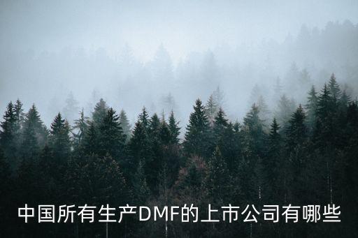 中國所有生產DMF的上市公司有哪些