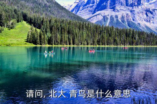 請(qǐng)問(wèn), 北大 青鳥(niǎo)是什么意思
