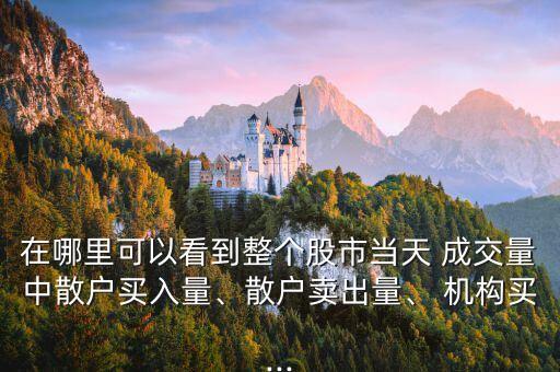 在哪里可以看到整個股市當(dāng)天 成交量中散戶買入量、散戶賣出量、 機(jī)構(gòu)買...