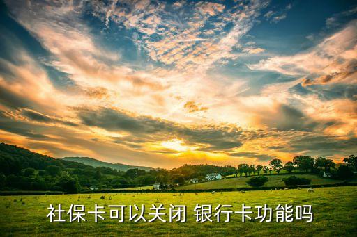  社?？梢躁P(guān)閉 銀行卡功能嗎