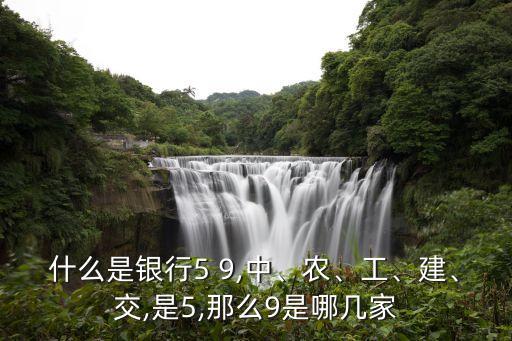 什么是銀行5 9,中、農(nóng)、工、建、交,是5,那么9是哪幾家