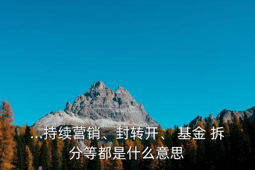 ...持續(xù)營銷、封轉(zhuǎn)開、 基金 拆分等都是什么意思